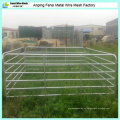Tipo de producto de ganado y estilo vivo Panel de oveja / Panel de cabra